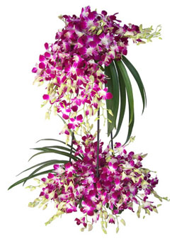 3 Feet Orchids Arrangement