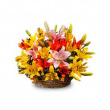 Assorted colour lilies in a basket