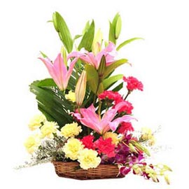 Basket of 4 Purple orchid 4 Pink lili 6 yellow carnation 6 red carnations