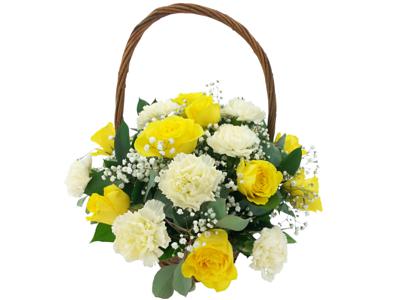Two Dozen yellow Carnations basket