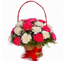 24 Red and White Carnations basket