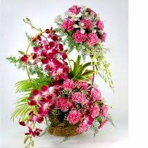 18 Pink Carnations and 6 Purple orchids Basket