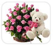 PINK Teddy, 2 dozen Pink roses in same basket
