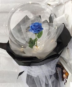 Transparent Balloon with 1 blue rose inside and wrapped in white and black wrapping and led fairy light string