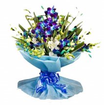 10 Blue Orchids Hand Tied