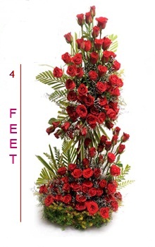 Four Foot Tall Arrangement of 75 Red Roses