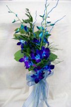 6 Blue Orchids Hand Tied