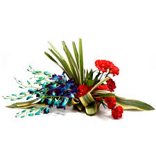 Basket of 6 Blue orchids 6 Red Carnations
