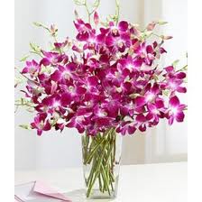 10 Purple orchids vase