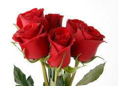 send valentine's day gifts and roses to bangalore