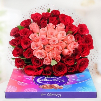 12 Pink and red roses Bunch + Cadburys celebrations