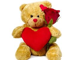 12 Inches brown Teddy with heart and 1 red rose