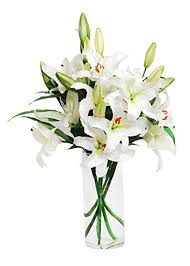 12 white Liliums Vase