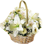 6 white lilies 6 White roses 6 white gerberas in a basket